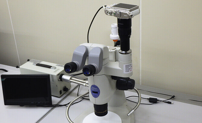 形態観察用顕微鏡